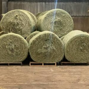 Alfalfa Hay