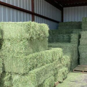 Alfalfa Hay